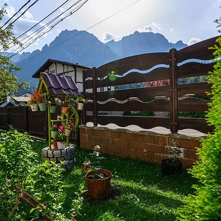 Casa Ramino Hotel Busteni Exterior photo