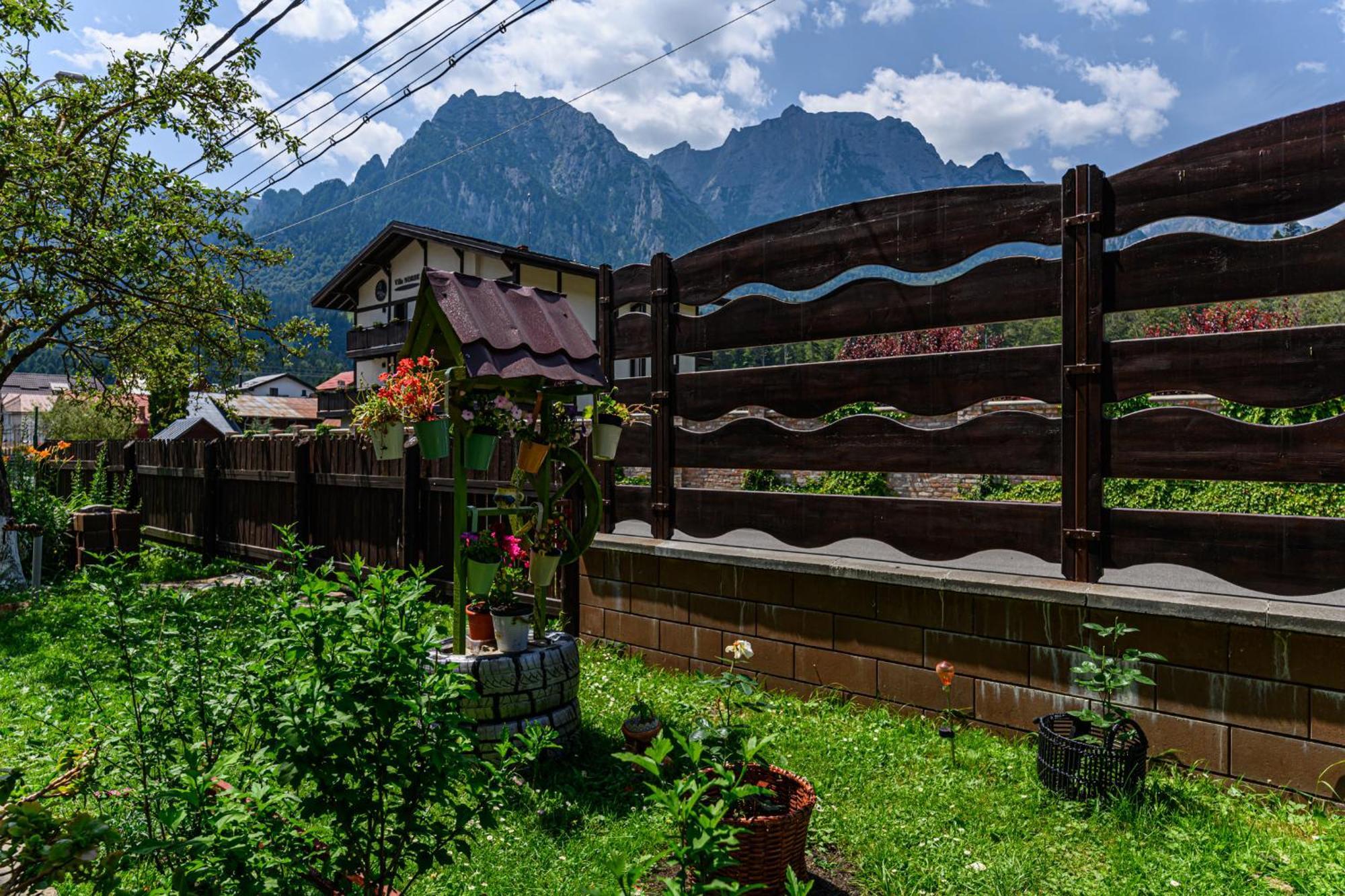 Casa Ramino Hotel Busteni Exterior photo